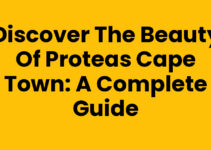 Discover the Beauty of Proteas Cape Town: A Complete Guide