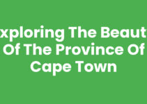 Exploring the Beauty of the Province Of Cape Town