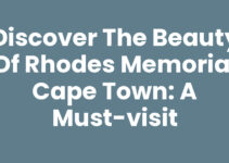Discover the Beauty of Rhodes Memorial Cape Town: A Must-Visit