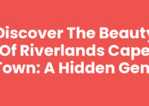 Discover the Beauty of Riverlands Cape Town: A Hidden Gem
