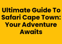 Ultimate Guide to Safari Cape Town: Your Adventure Awaits