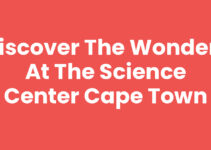 Discover the Wonders at the Science Center Cape Town