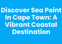Discover Sea Point In Cape Town: A Vibrant Coastal Destination