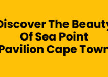 Discover the Beauty of Sea Point Pavilion Cape Town