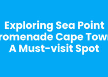 Exploring Sea Point Promenade Cape Town: A Must-Visit Spot