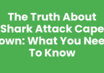 The Truth About Shark Attack Cape Town: What You Need to Know