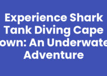 Experience Shark Tank Diving Cape Town: An Underwater Adventure