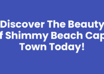 Discover the Beauty of Shimmy Beach Cape Town Today!