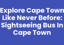Explore Cape Town Like Never Before: Sightseeing Bus In Cape Town