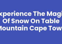 Experience the Magic of Snow On Table Mountain Cape Town