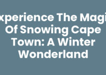 Experience the Magic of Snowing Cape Town: A Winter Wonderland
