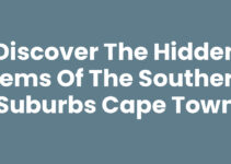 Discover the Hidden Gems of the Southern Suburbs Cape Town