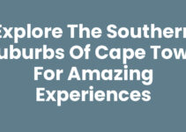 Explore the Southern Suburbs Of Cape Town for Amazing Experiences