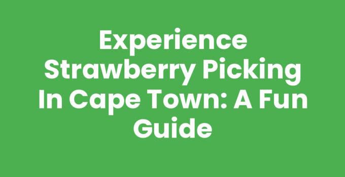 Strawberry Picking Cape Town - Enjoying a day at a strawberry farm