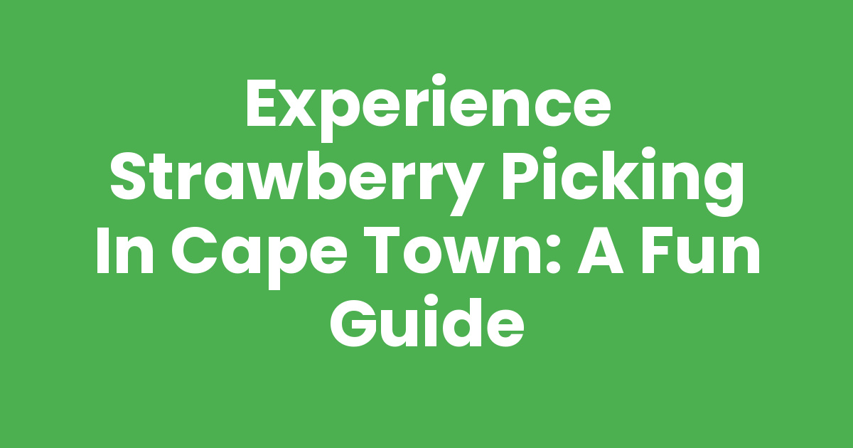 Experience Strawberry Picking in Cape Town: A Fun Guide