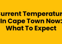 Current Temperature In Cape Town Now: What to Expect