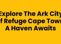 Explore The Ark City Of Refuge Cape Town: A Haven Awaits