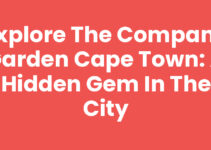 Explore The Company Garden Cape Town: A Hidden Gem in the City
