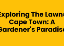 Exploring The Lawns Cape Town: A Gardener’s Paradise