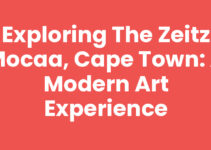 Exploring The Zeitz Mocaa, Cape Town: A Modern Art Experience