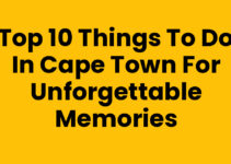 Top 10 Things To Do In Cape Town for Unforgettable Memories