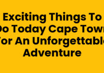 Exciting Things To Do Today Cape Town for an Unforgettable Adventure
