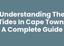 Understanding the Tides in Cape Town: A Complete Guide