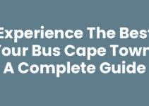 Experience the Best Tour Bus Cape Town: A Complete Guide