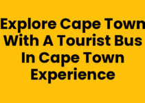 Explore Cape Town with a Tourist Bus In Cape Town Experience