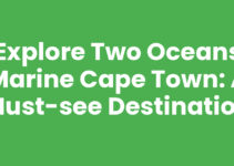 Explore Two Oceans Marine Cape Town: A Must-See Destination