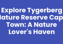 Explore Tygerberg Nature Reserve Cape Town: A Nature Lover’s Haven