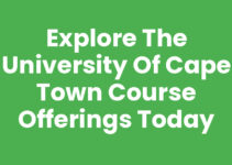 Explore the University Of Cape Town Course Offerings Today