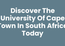 Discover the University Of Cape Town In South Africa Today