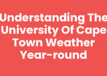 Understanding the University Of Cape Town Weather Year-Round
