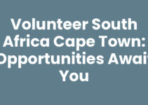 Volunteer South Africa Cape Town: Opportunities Await You