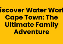 Discover Water World Cape Town: The Ultimate Family Adventure