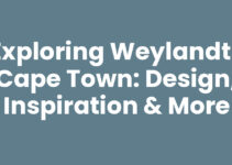 Exploring Weylandts Cape Town: Design, Inspiration & More