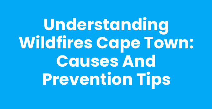 Wildfires Cape Town destroying vegetation and impacting the environment