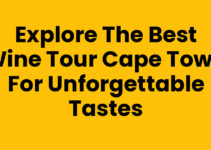 Explore the Best Wine Tour Cape Town for Unforgettable Tastes