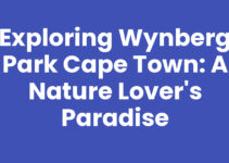 Exploring Wynberg Park Cape Town: A Nature Lover’s Paradise