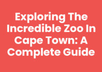 Exploring the Incredible Zoo In Cape Town: A Complete Guide